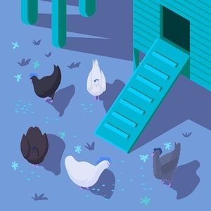 Meet your Posher, Mariooch